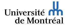 Institute for Research in Immunology and Cancer (IRIC) - University of Montreal
