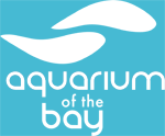 Bay.org